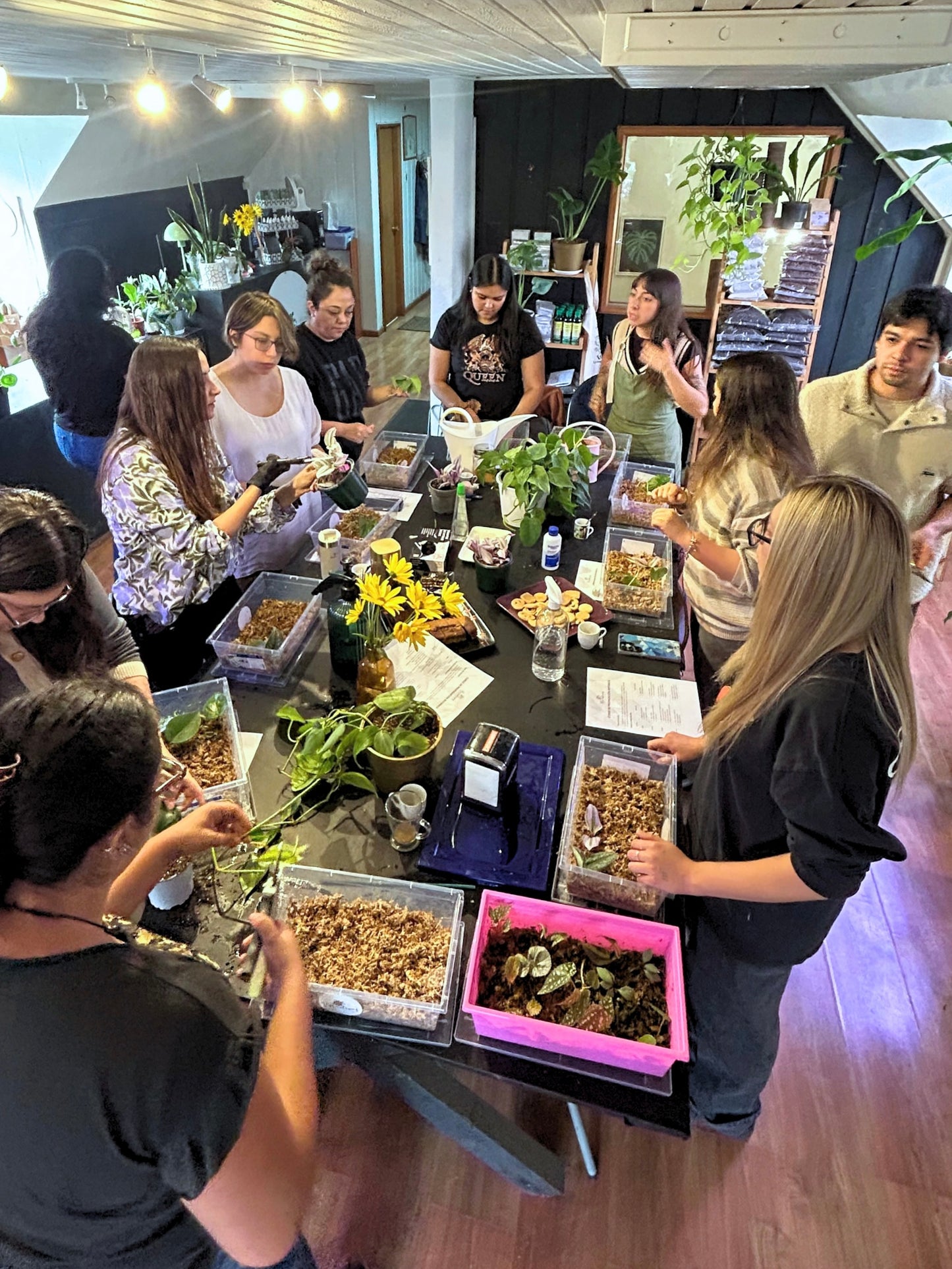 Taller de propagación de plantas 🪴