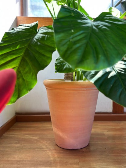 Macetero terracota V tamaño L 44x40 cms