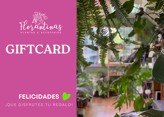 GIFTCARD FLORANTINAS