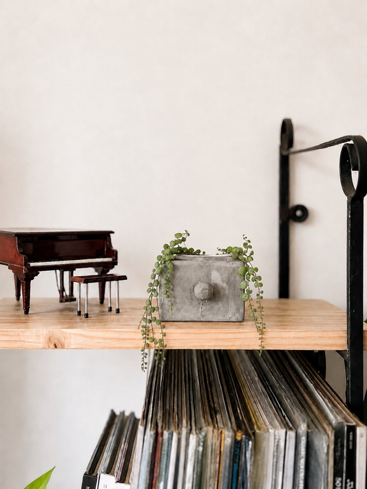 Macetero de cerámica para plantas de interior tropicales y decoración botánica.
