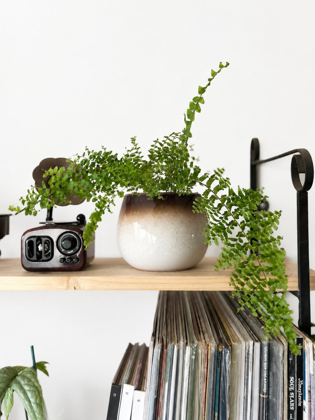Maceta de cerámica redondo para plantas de interior y decoración botánica