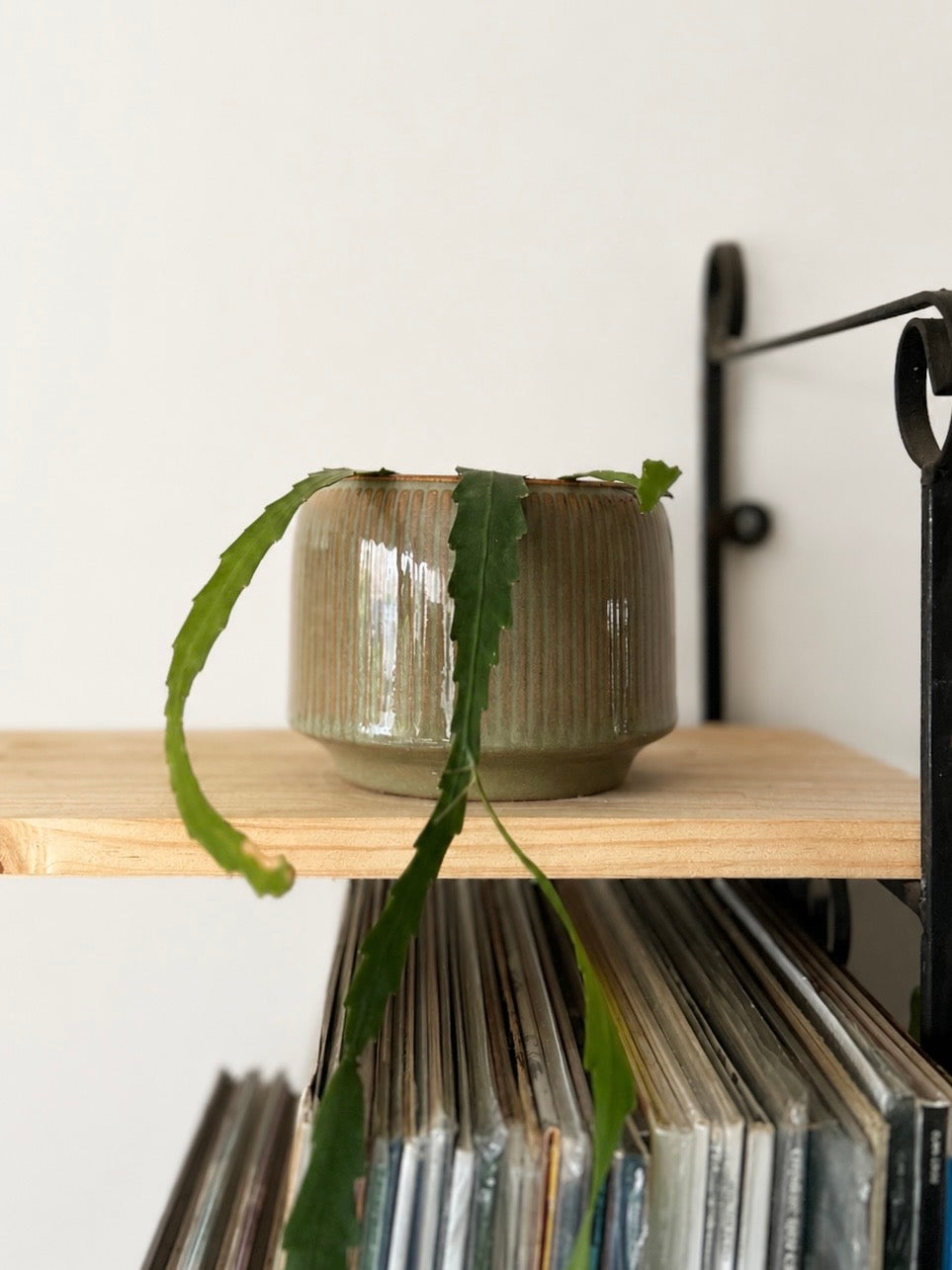 Maceta de cerámica geométrico para plantas de interior y decoración botánica