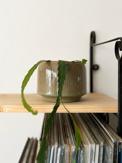 Maceta de cerámica geométrico para plantas de interior y decoración botánica