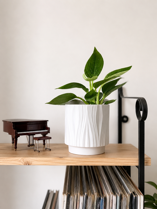 Maceta de cerámica geométrico para plantas de interior y decoración botánica