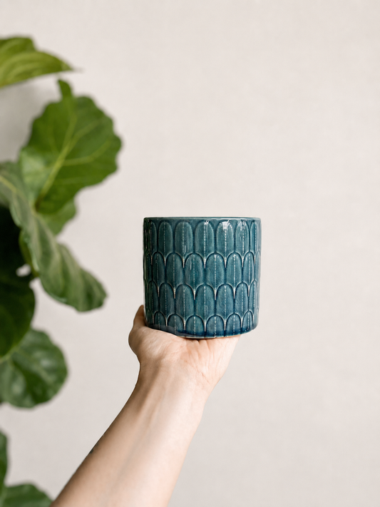 Macetero de cerámica para plantas de interior tropicales y decoración botánica.