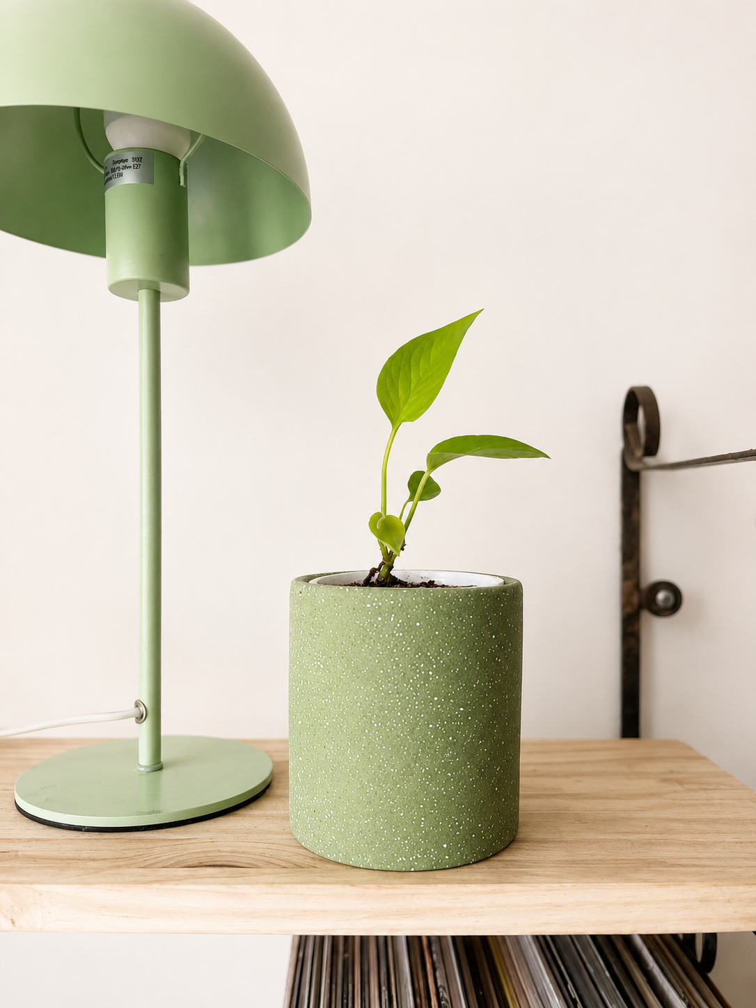 Maceta de cerámica redondo para plantas de interior y decoración botánica